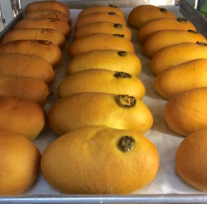 KC Donuts Kolaches